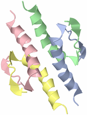 Image NMR Structure - model 1