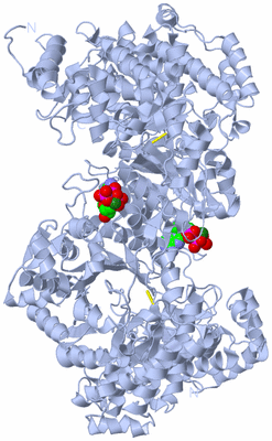 Image Biological Unit 1