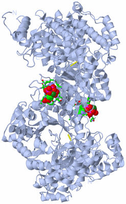 Image Biol. Unit 1 - sites