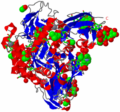 Image Asym./Biol. Unit - sites