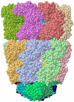 Image Asym./Biol. Unit