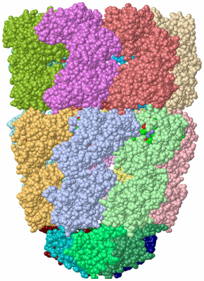 Image Asym./Biol. Unit - sites