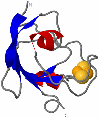 Image NMR Structure - model 1