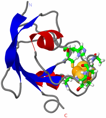 Image NMR Structure - model 1, sites
