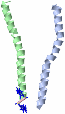 Image Asymmetric Unit