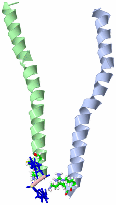 Image Asym. Unit - sites