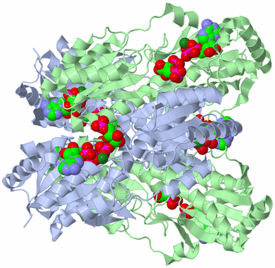 Image Biological Unit 1