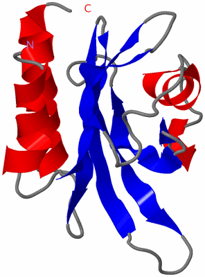 Image NMR Structure - model 1