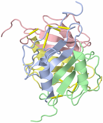 Image NMR Structure - model 1