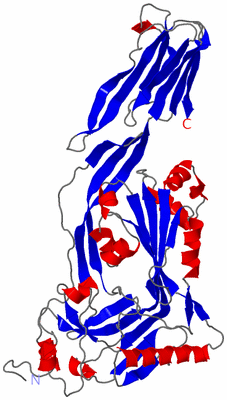 Image Asymmetric Unit