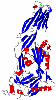 Image Asym. Unit - sites