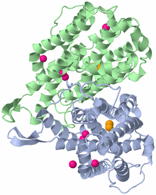 Image Asym./Biol. Unit