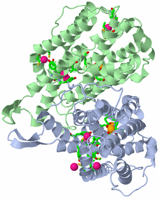 Image Asym./Biol. Unit - sites