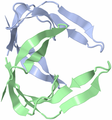 Image NMR Structure - model 1