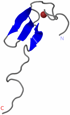 Image NMR Structure - model 1