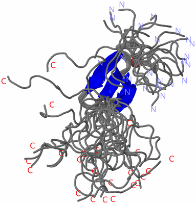 Image NMR Structure - all models