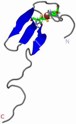 Image NMR Structure - model 1, sites