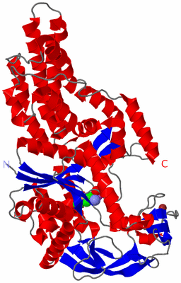 Image Asym./Biol. Unit