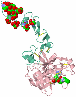 Image Asym./Biol. Unit