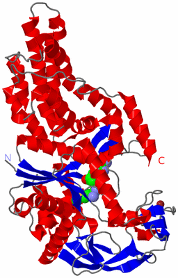 Image Asym./Biol. Unit