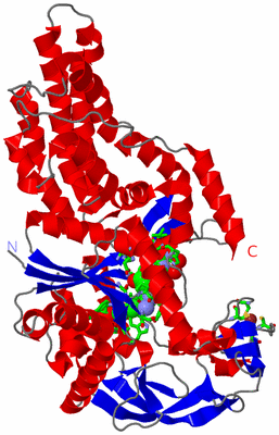 Image Asym./Biol. Unit - sites