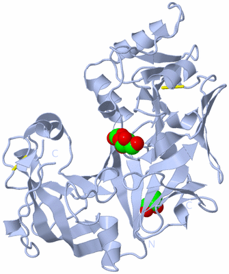 Image Biological Unit 1