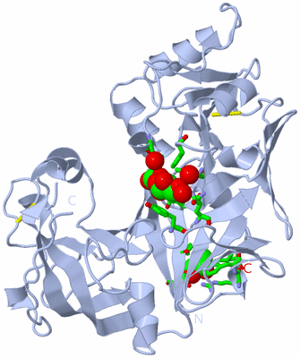 Image Biol. Unit 1 - sites