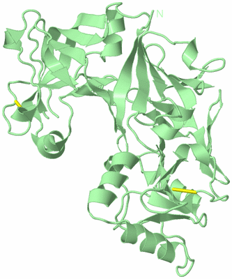 Image Biological Unit 2