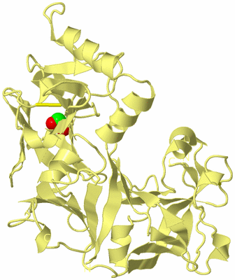 Image Biological Unit 3