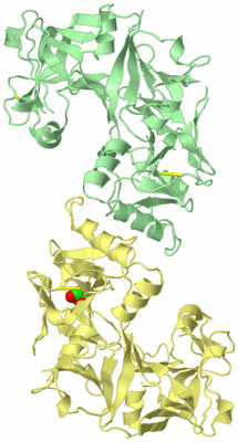 Image Biological Unit 5