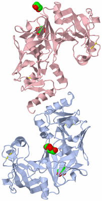 Image Biological Unit 6