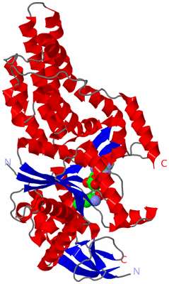 Image Asym./Biol. Unit