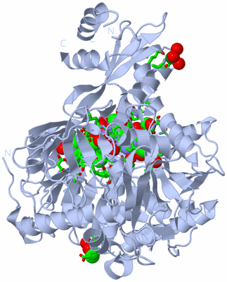 Image Biol. Unit 1 - sites