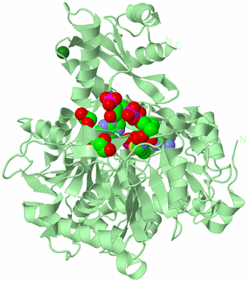 Image Biological Unit 2