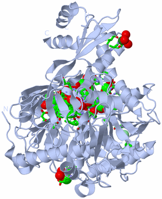 Image Biol. Unit 1 - sites