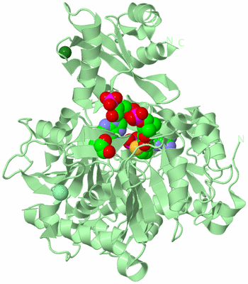 Image Biological Unit 2