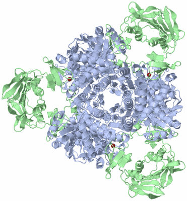 Image Biological Unit 1