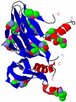 Image Asymmetric Unit
