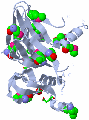 Image Biol. Unit 1 - sites
