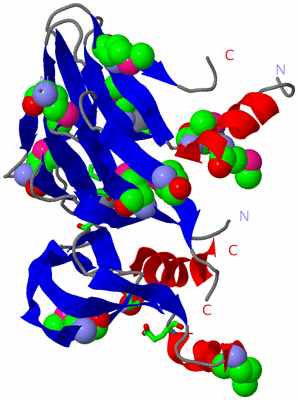 Image Asym. Unit - sites