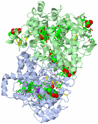 Image Asym./Biol. Unit - sites