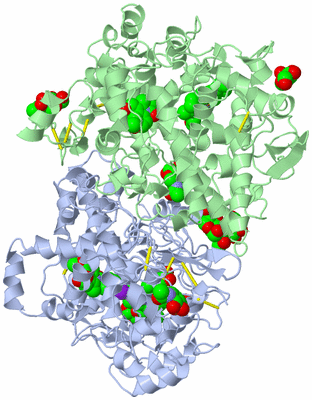 Image Asym./Biol. Unit