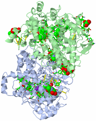 Image Asym./Biol. Unit - sites