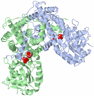 Image Asym./Biol. Unit