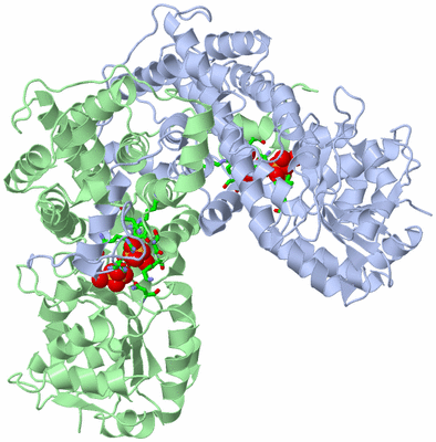 Image Asym./Biol. Unit - sites