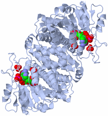 Image Biological Unit 1