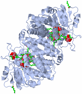 Image Biol. Unit 1 - sites