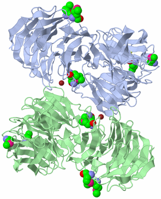 Image Asym./Biol. Unit