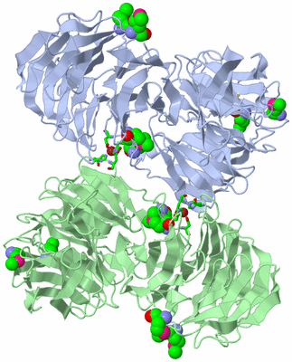 Image Asym./Biol. Unit - sites