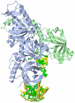 Image Asym./Biol. Unit